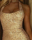 Women's Halter Neck Dress